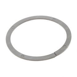Picture of Ring - Backup