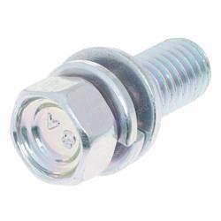 Picture of Bolt