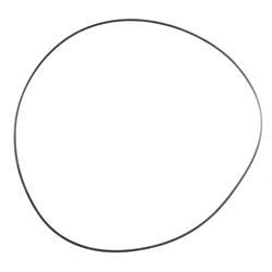 Picture of O-Ring