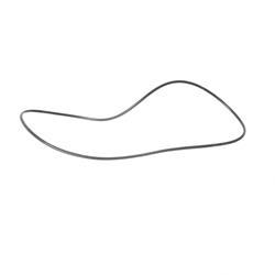 Picture of O-Ring