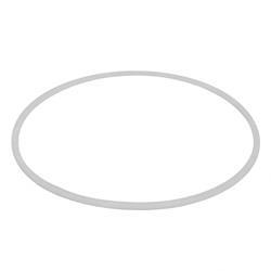 Picture of Ring Backup