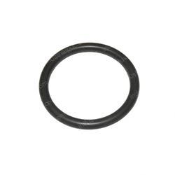 Picture of O-Ring