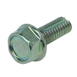 Picture of Bolt - Special