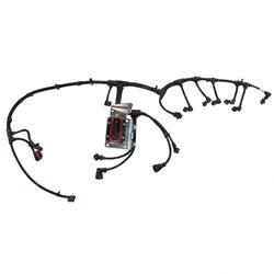 Picture of Harness
