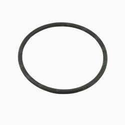 Picture of O-Ring