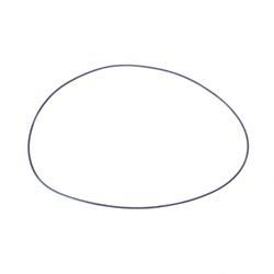 Picture of O-Ring