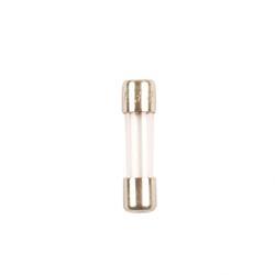 Picture of Fuse 0,25a
