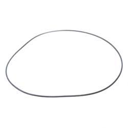 Picture of O-Ring