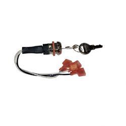 Picture of Switch  - Key Assembly