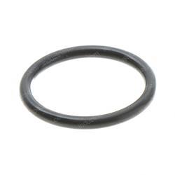 Picture of O-Ring