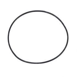 Picture of O-Ring