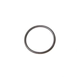 Picture of O-Ring