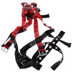 Picture of Body Harness