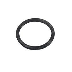 Picture of Seal - Ucup