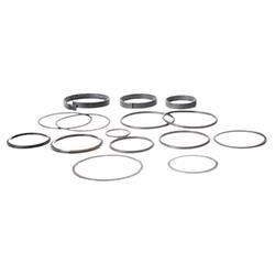 Picture of Seal Kit Lwr Lift Cyl X91rt