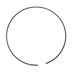 Picture of Retaining Ring