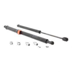 Picture of Spring Kit - Gas