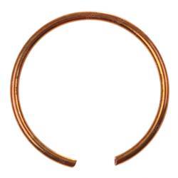 Picture of Ring Lock