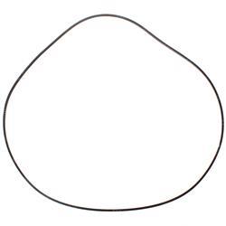 Picture of O-Ring