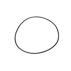 Picture of O-Ring