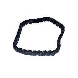 Picture of Chain - Timing