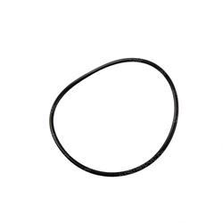 Picture of O-Ring