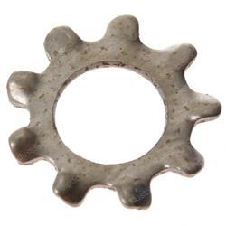 Picture of Ss Ext Tooth Lock Washer #10