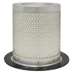 Picture of Fuel Filter