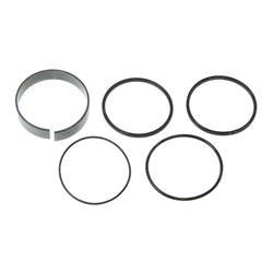 Picture of Kit - O-Ring Fuel Asm