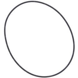 Picture of O-Ring