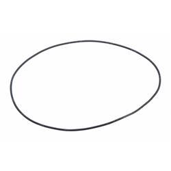 Picture of O-Ring