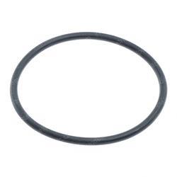 Picture of O-Ring