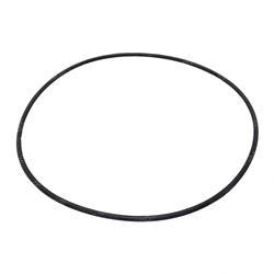 Picture of O-Ring