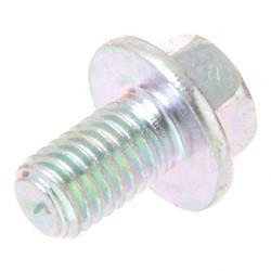 Picture of Bolt
