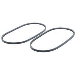 Picture of Belt - Set of 2