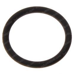Picture of O-Ring