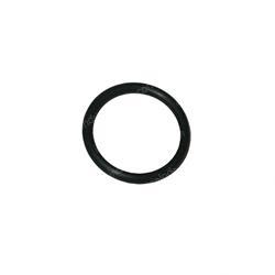Picture of O-Ring