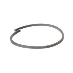 Picture of Ring Piston