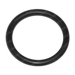 Picture of O-Ring