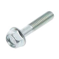 Picture of Bolt