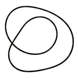 Picture of O-Ring