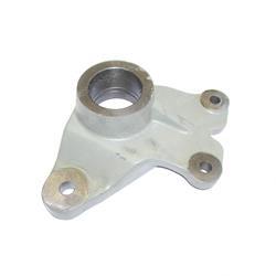 Picture of Spider - Steer