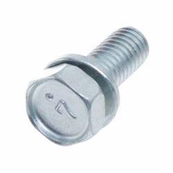 Picture of Bolt