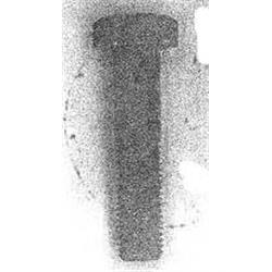 Picture of Bolt