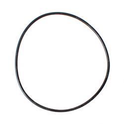 Picture of O-Ring