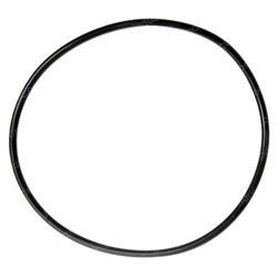 Picture of O-Ring