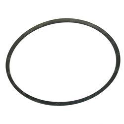 Picture of Belt