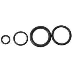 Picture of Injector + Pressure Reg O-Ring