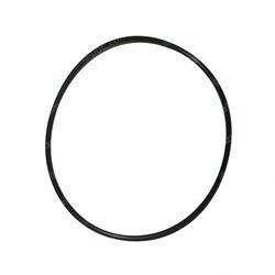 Picture of O-Ring