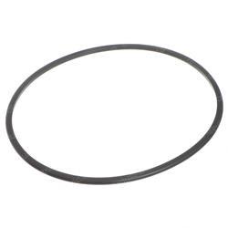 Picture of O-Ring